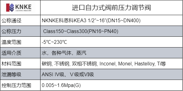 进口自力式阀前压力调节阀(图1) image.png